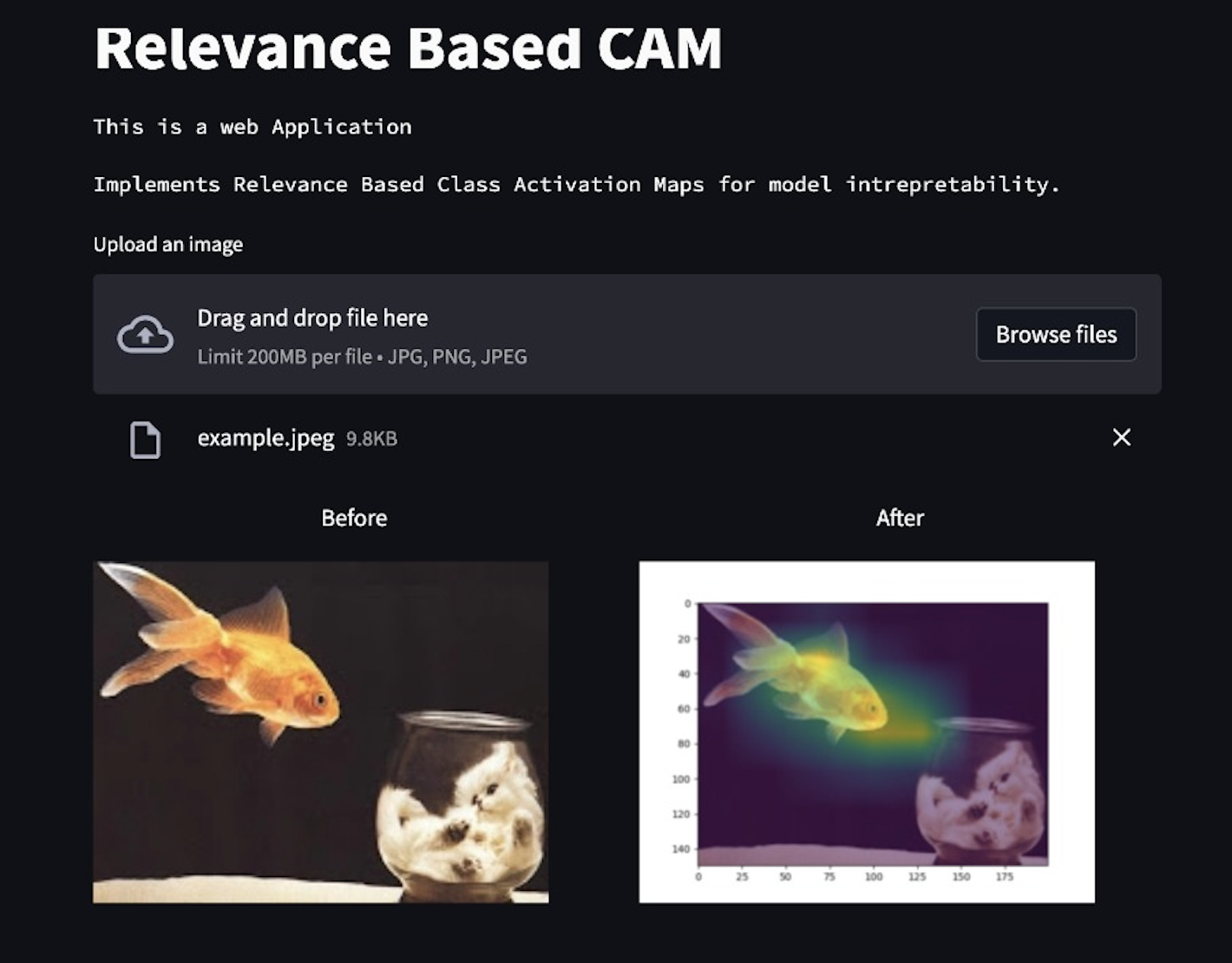 Relevance CAM for model Interpretability